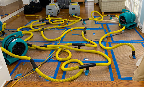 Professional Water Extraction technician working in Aurora, NC